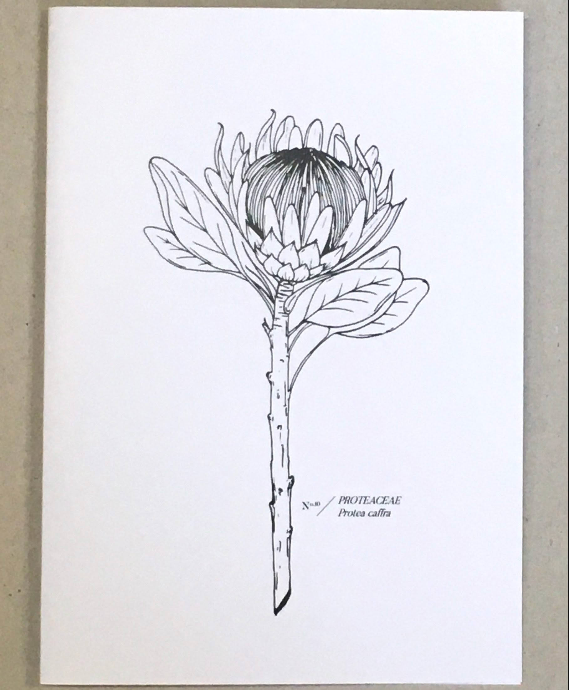 Botanical Protea